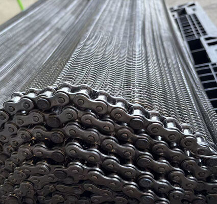 Stainless Steel Chain Mesh Belt Conveyor for the Food Industry Seed Drying Baking
